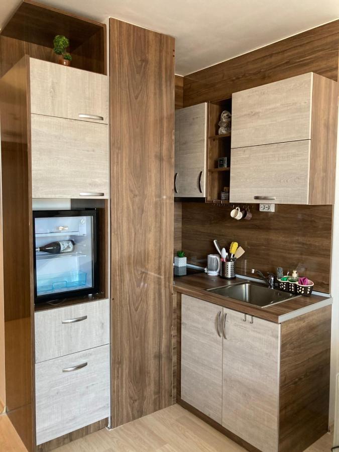 Mirabell Studio Bansko - Amazing View & Fireplace Εξωτερικό φωτογραφία