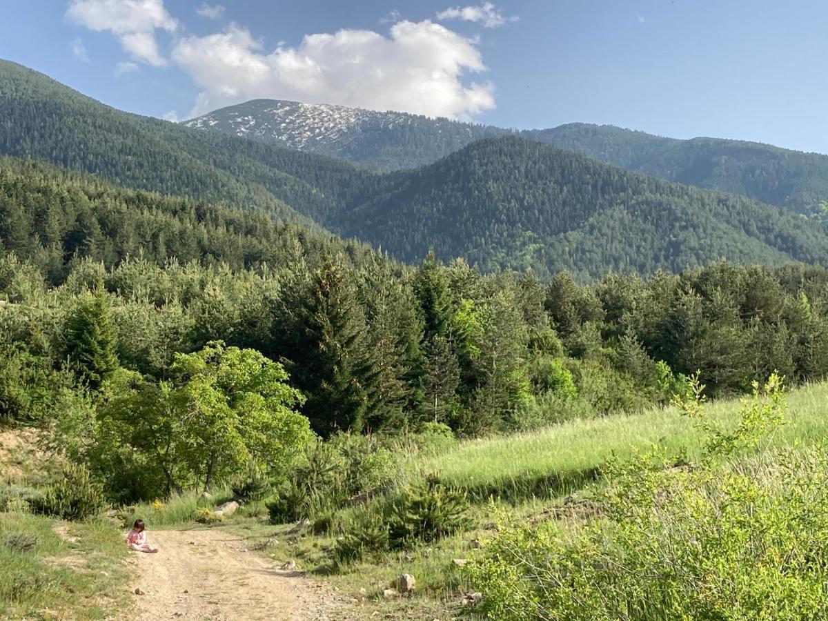 Mirabell Studio Bansko - Amazing View & Fireplace Εξωτερικό φωτογραφία